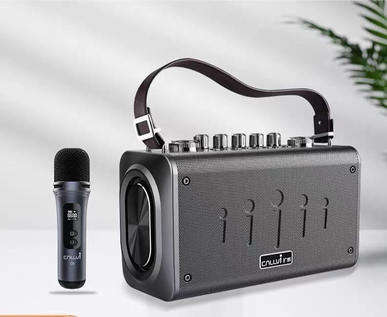 CallVi扩威W8广场舞音响户外蓝牙音箱无线K歌小手提便携式麦克风
