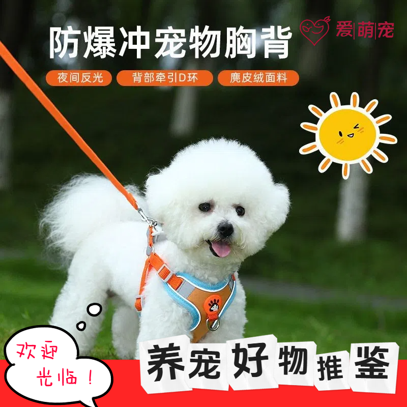 狗狗牵引绳背心式小型犬胸背带