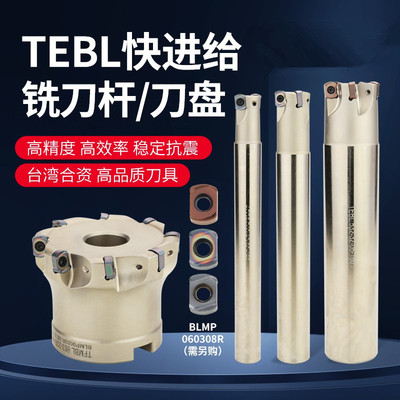 TEBL06快进给双面铣刀杆特固克BLMP0603R刀片数控开粗面铣刀盘