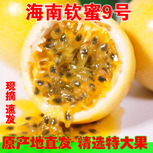 海南钦蜜9号黄金百香果批发特大