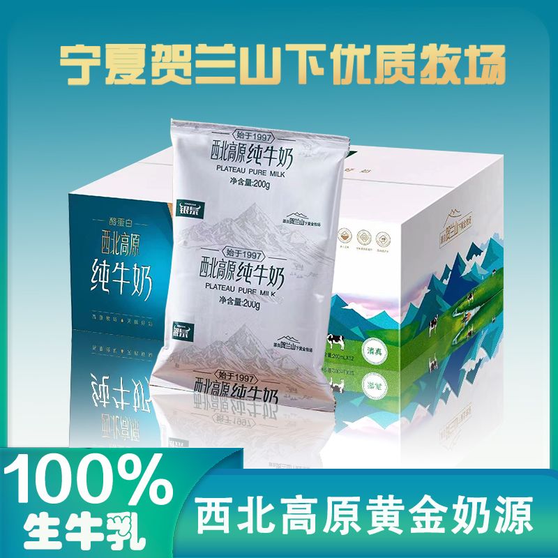 银泉纯牛奶宁夏北方乳业200克*12袋3.6蛋白贺兰山黄金牧场清真