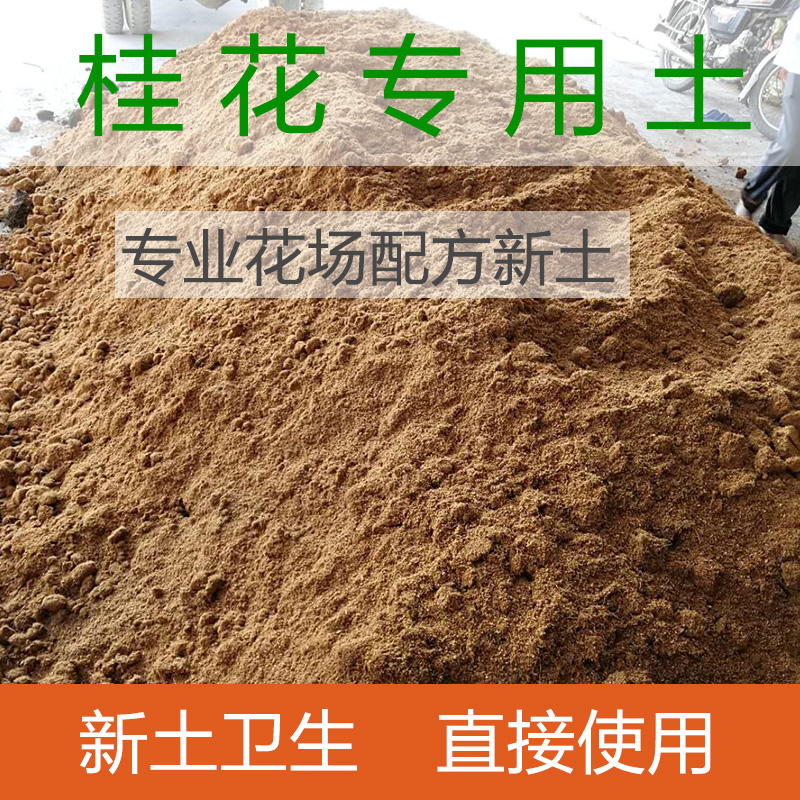 营养土通用型花卉营养土桂花土