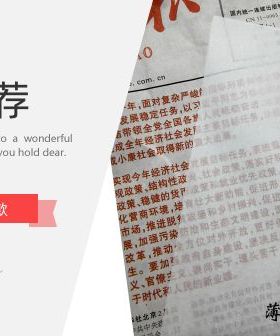 空白白玉雁皮多功能篆刻用纸拓印用纸笋皮盖印板用纸