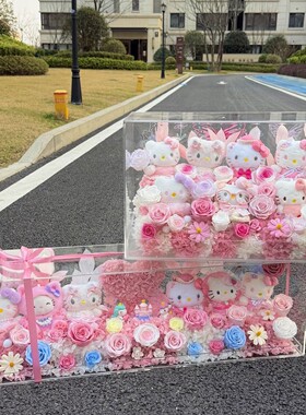 永生花Kitty花园情人节礼物hellokitty花盒表白生日送女朋友闺蜜