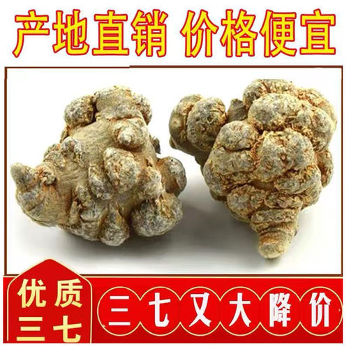 三七头正品20头30头特级500g