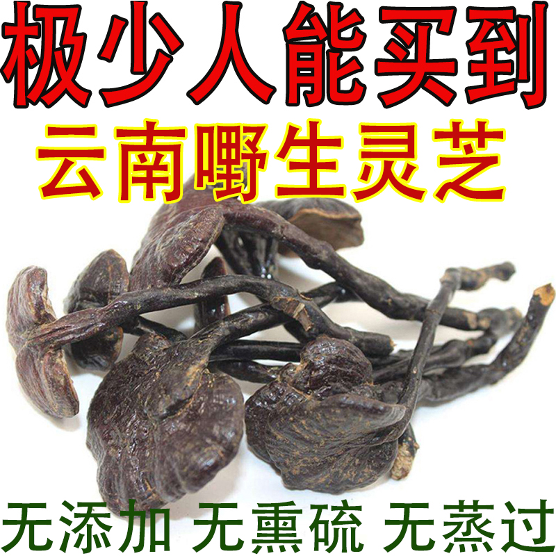 云南深山采摘天然长颈非野生正品竹灵芝小红灵芝紫灵芝特级500g