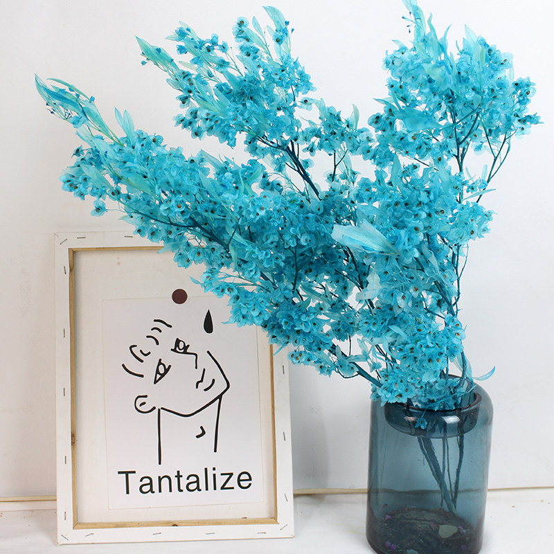 永生花迎客豆天然真花干花客厅装饰diy花材软装摆设插花白色干花