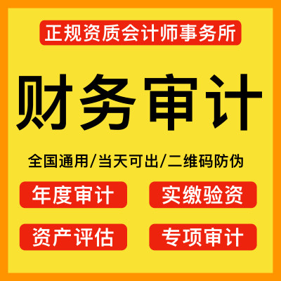 审计咨询公司年度财务报表专项资产评估报告离任清算全国投标