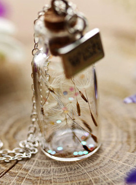 DIY饰品 玻璃罩森系民族水晶项饰 蒲公英吊坠项链批