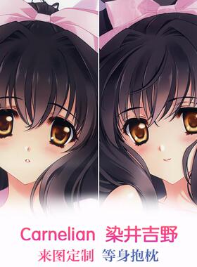 Carnelian 华枕2013ver2 染井吉野 动漫等身抱枕 2way靠枕定制