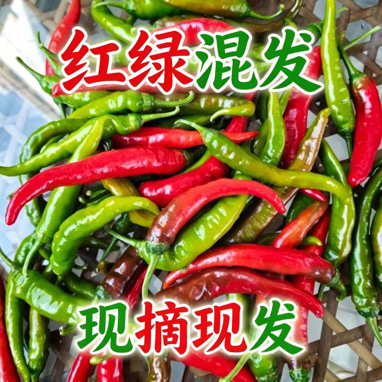 新鲜现摘辣椒红绿紫混合装山西农家辣椒美人椒适合泡椒剁椒辣椒酱