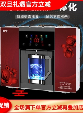 新飞净水器加热一体反渗透直饮机BR802A自吸水壶豪华款过滤芯配件