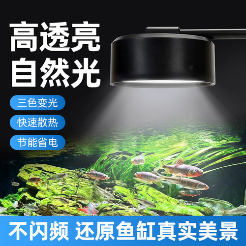 高档鱼缸灯led筒灯原生溪流缸全光谱水草照明造景灯usb爆藻观赏