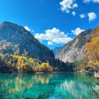 nY策士运费勿拍一