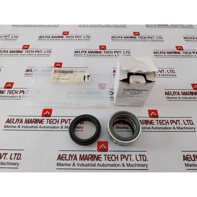 原装供应Eagleburgmann BT PR/AR 40 机械 Q1BX4GG E-BT-0056 套