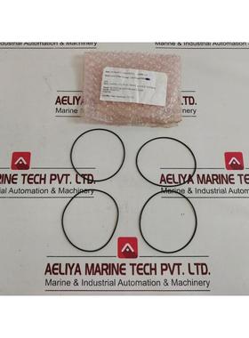 原装供应批量 4 件 Det-tronics 107427-053 o 形环