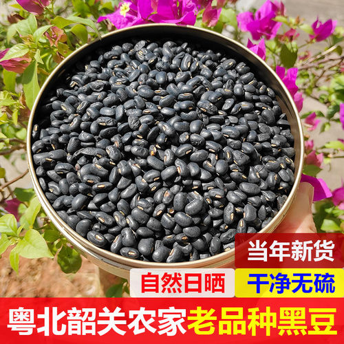 韶关农家自种白心黑豆1000克
