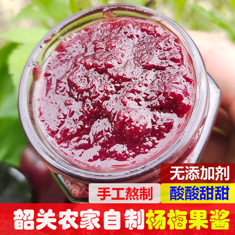 广东韶关农家杨梅果酱手工熬制酸甜可口浓缩型果酱冲饮商用原材料