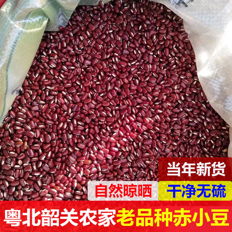 农家自产正宗赤小豆2025年新