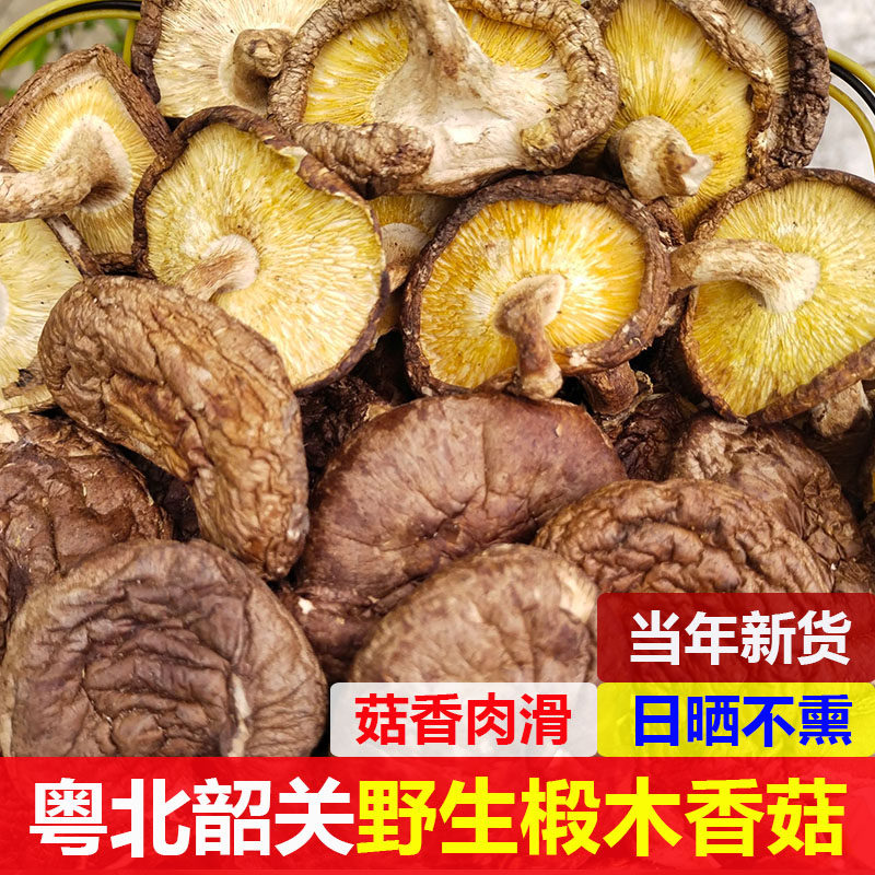 广东特产韶关深山野生椴木香菇干货500g农家自采香菌菇类蘑菇冬菇