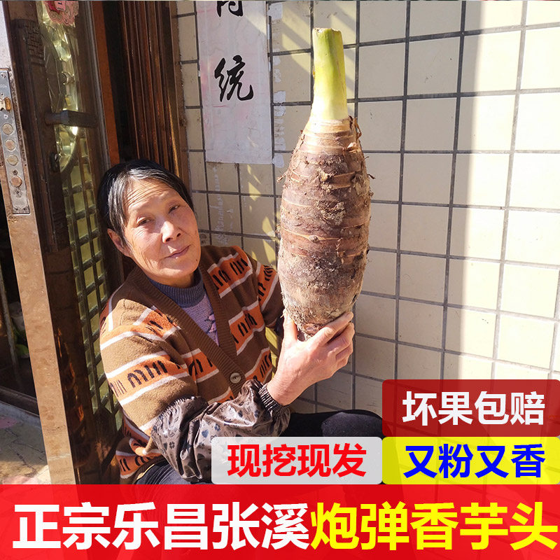 广东韶关乐昌炮弹芋头特大张溪香芋槟榔芋紫藤毛芋香粉糯非荔浦,水产肉类/新鲜蔬果/熟食,芋头,淘宝优惠券,粉丝福利购,淘宝优惠卷