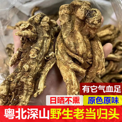 头片当归头片特级正品无硫新货