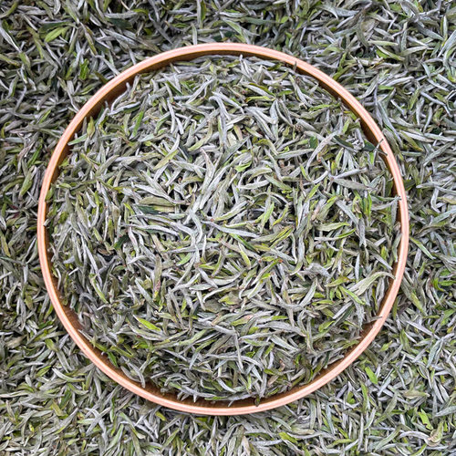 2025新茶清香福鼎白毫银针散茶茶叶高山日晒春茶白毫银针散装白茶