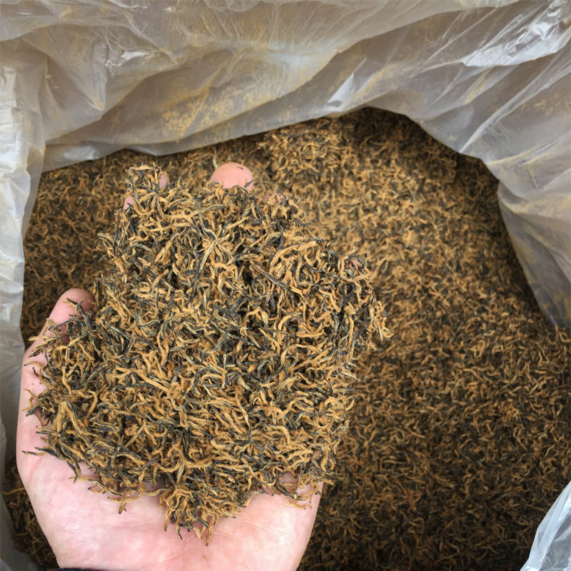 头春金骏眉红茶 武夷小种红茶金金骏眉