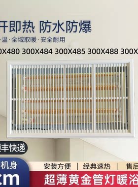300x450x480X484X485超薄黄金管取暖器浴霸卫生间灯暖光波黄金管