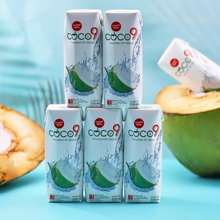 戴尔可可椰子水250ml 整箱送人风味印尼进口coco9饮品饮料 9瓶装