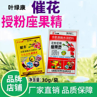 授粉坐果精促花保花保果防落座果灵坐果点花药催花剂防落果30克素