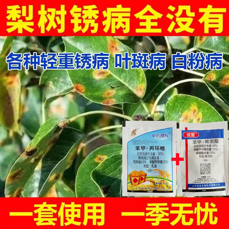 梨树锈病月季黑星病斑点炭疽铁锈病白粉病梨树专用杀菌梨树增产药-封面