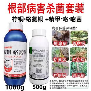 精甲霜灵咯菌腈晴嘧菌酯大姜基茎腐病病根腐病精甲咯嘧菌杀菌剂
