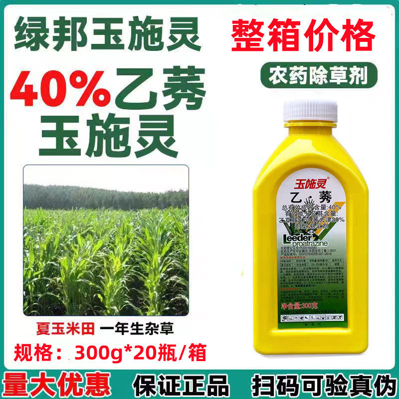 绿邦玉施灵40%乙莠玉米除草剂