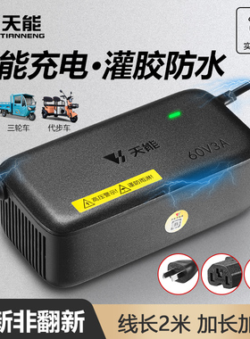 天能加长2.4米电动车电瓶充电器48V12A60V20AH72V32A三轮通用