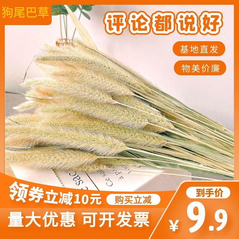 场景布置工艺品辅料包邮天然干花