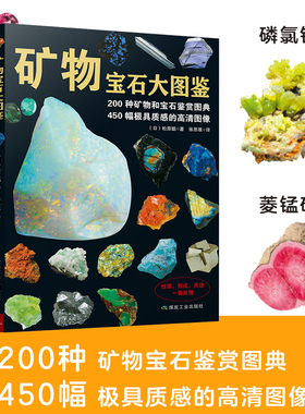 矿物宝石大图鉴 200种矿物宝石鉴赏图典 矿物与宝石的知识和图鉴宝石收藏爱好者的书籍珍稀矿石物图谱实用寻宝图鉴科普大百科