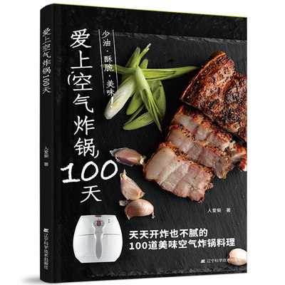 爱上空气炸锅100创意美食天天