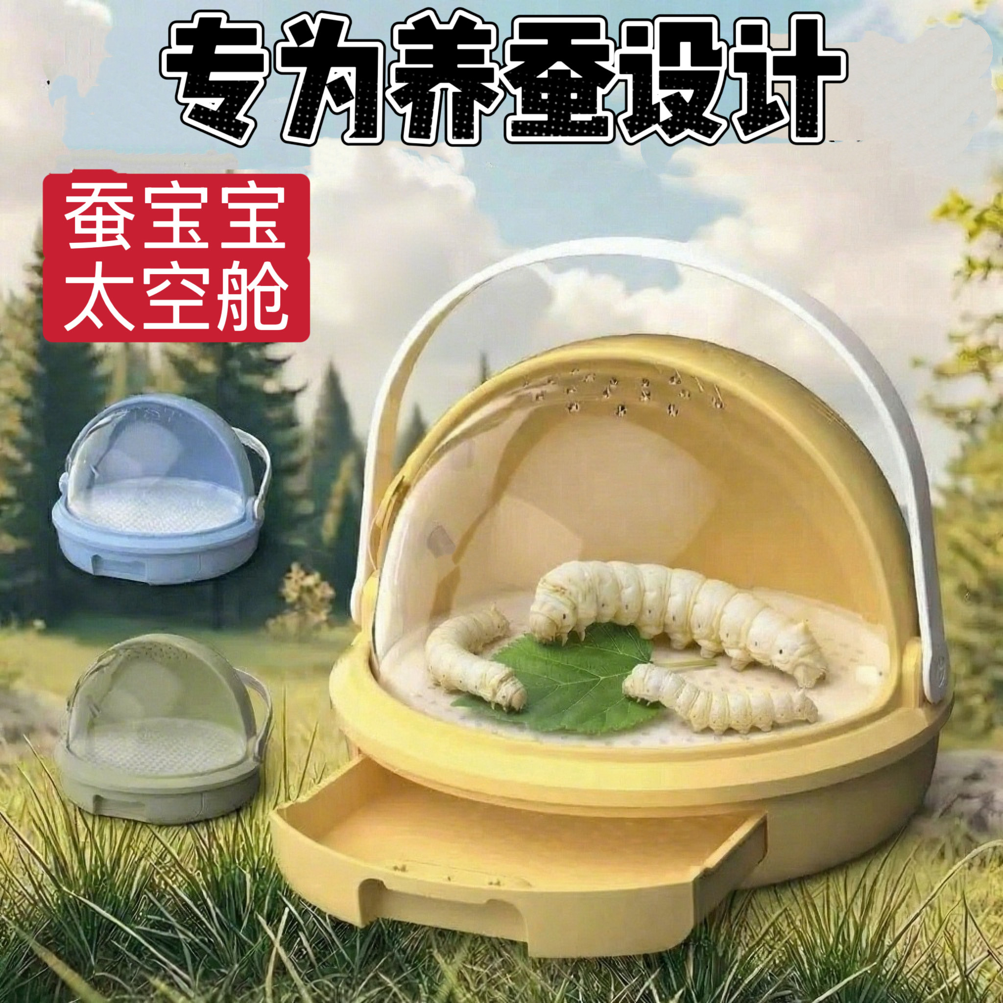三年级蚕宝宝太空舱活体幼虫小学生养蚕套餐养蚕工具套装金丝蚕卵图片