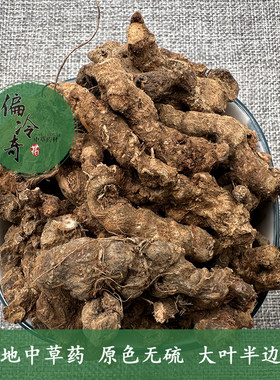 偏冷奇中草药材半边莲
