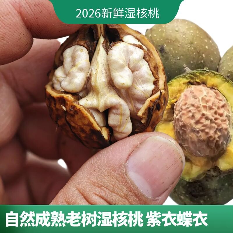 核桃漾濞新货湿核桃去青皮