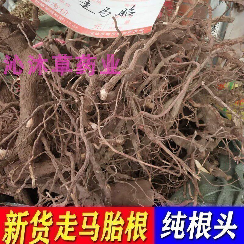 正宗走马胎根中药材500克 大发药 走马风 血枫 走马腾 纯根头色红