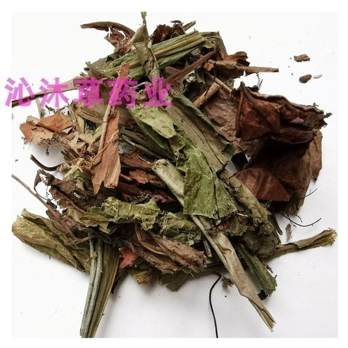 猪笼草中药材猪仔草捕虫草猪仔笼