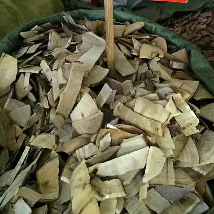 山栀子根中药材山枝子根黄栀子根