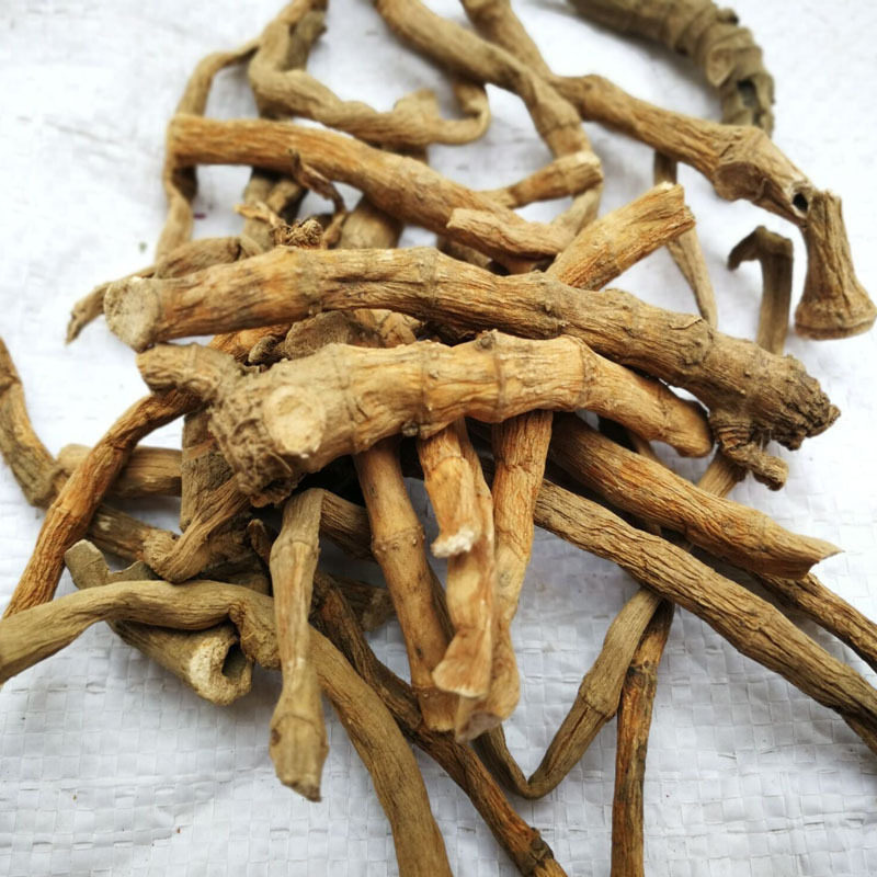 三白草中药材三百草根天性草根500克百节藕塘边藕白花莲新货