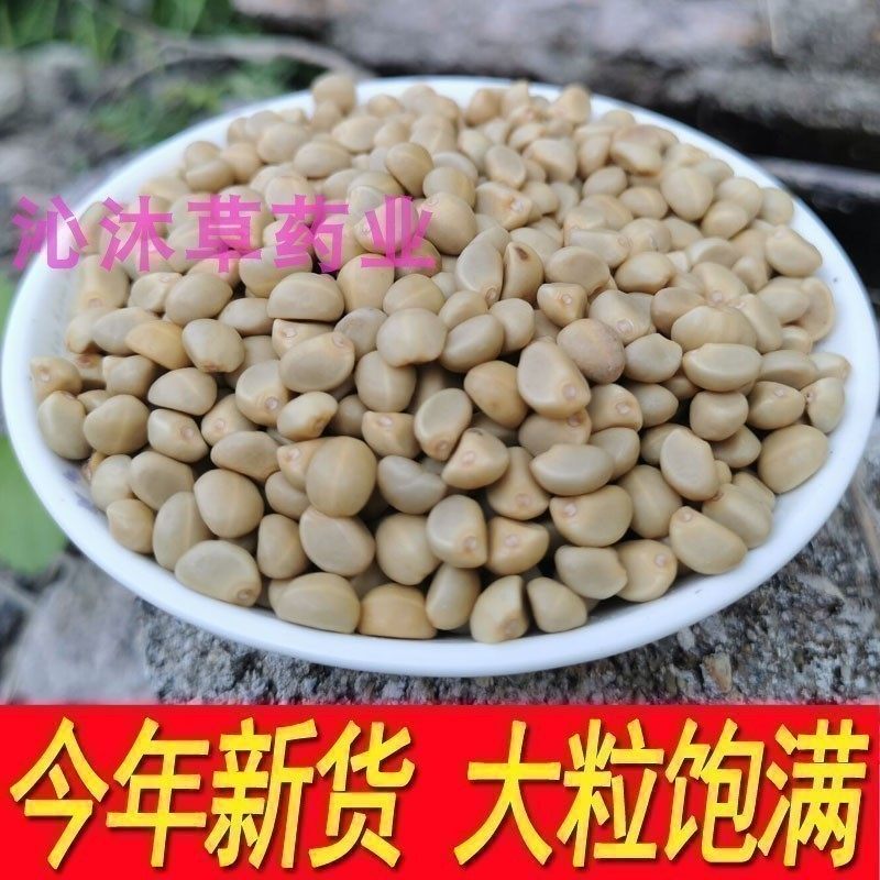 正宗金丝指葫芦子种广西华佗豆跌打豆贼老豆拐子豆籽可磨粉可发芽