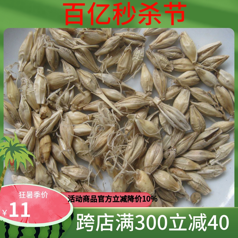 麦芽500克包邮中药材正宗