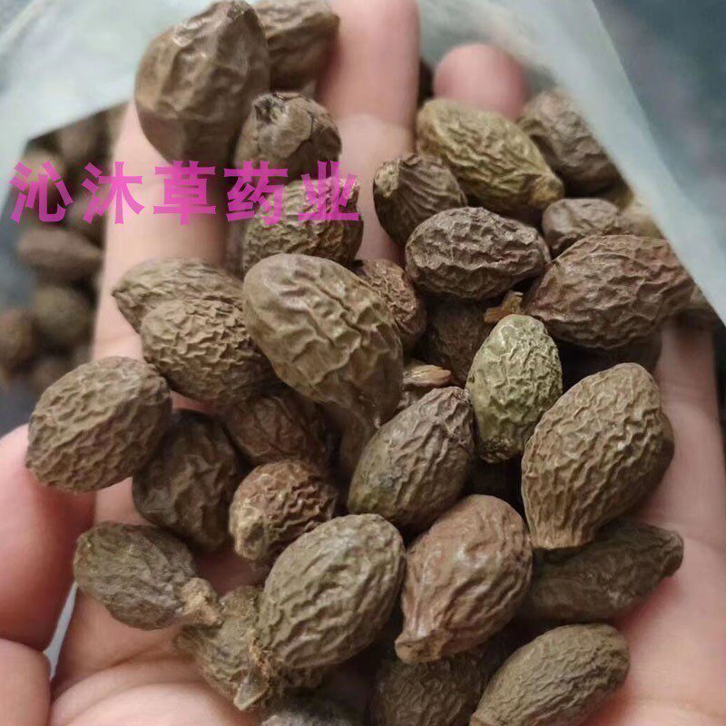 胖大海茶500g克包邮 大海子籽泡水泡茶 另售金银花菊花茶罗汉果花