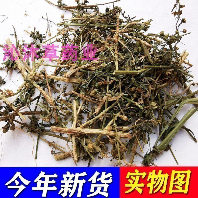 冰糖草中药材土甘草中草药500克 珠子草 野甘草节节珠 可磨粉