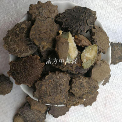 木鳖子500克漏苓子藤桐子土木鳖